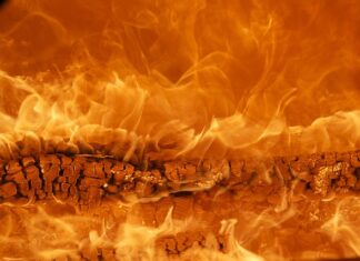 Co składa się na markę firmy?