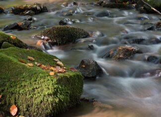 Dlaczego płynność finansowa jest ważna? Dlaczego płynność finansowa jest ważna?
