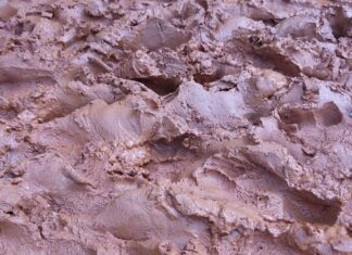 Co uwzględnić w budżecie domowym?