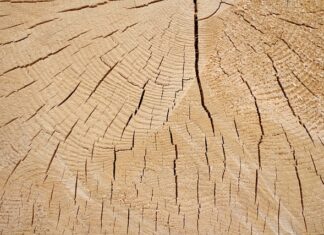 Jakie są loga? Jakie są loga?