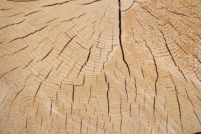 Jakie są loga? Jakie są loga?