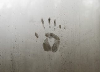 Na czym polega zadanie identyfikacji? Na czym polega zadanie identyfikacji?