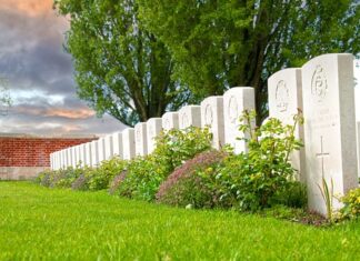 Ile firm upadnie w 2023 roku?