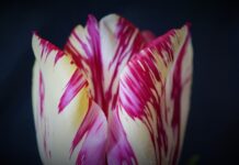 Jak można zapobiec wypadkom? Jak można zapobiec wypadkom?