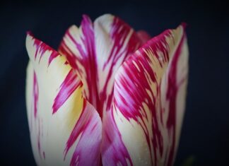 Jak można zapobiec wypadkom? Jak można zapobiec wypadkom?