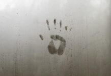 Na czym polega zjawisko identyfikacji z bohaterem? Na czym polega zjawisko identyfikacji z bohaterem?