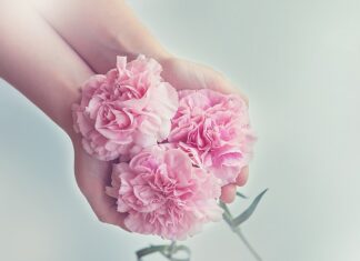 Skąd gospodarstwa domowe czerpią dochody? Skąd gospodarstwa domowe czerpią dochody?