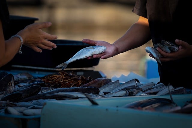 Czy trzeba mieć firmę żeby sprzedawać na Amazon? Czy trzeba mieć firmę żeby sprzedawać na Amazon?