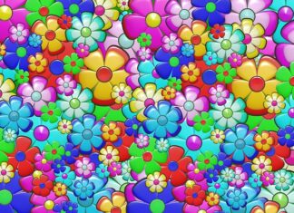 Czy na Woodstock są prysznice?