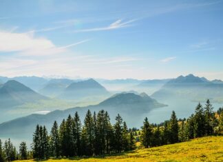 Co w pierwszej kolejności zajmuje komornik?