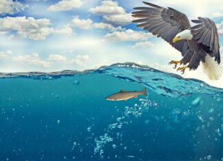 Jak wygląda atak nerwicy? Jak wygląda atak nerwicy?