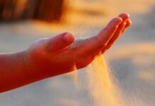 Czy każdy może być menedżerem?