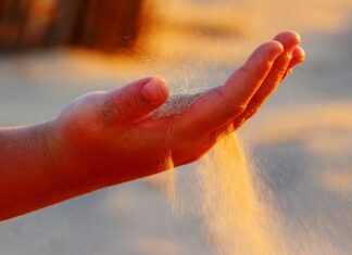 Czy każdy może być menedżerem?