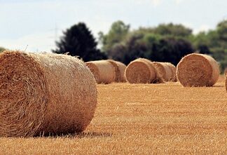 Na czym polega rola matki? Na czym polega rola matki?