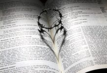 Jak poznać dobrego pracownika? Jak poznać dobrego pracownika?