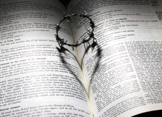 Jak poznać dobrego pracownika? Jak poznać dobrego pracownika?