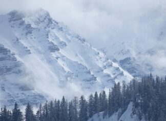 Co powinien zawierać przegląd zarządzania? Co powinien zawierać przegląd zarządzania?