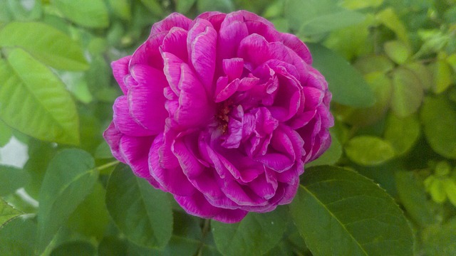 Ile płaci ZUS za zwolnienie lekarskie na własnej działalności? Ile płaci ZUS za zwolnienie lekarskie na własnej działalności?