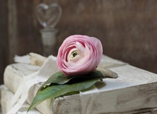 Co to są zobowiązania bieżące? Co to są zobowiązania bieżące?