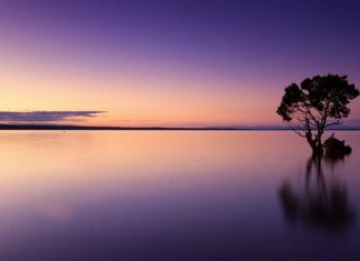 Ile wody na jedną osobę? Ile wody na jedną osobę?