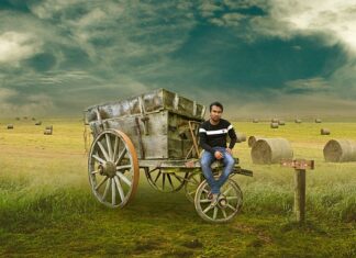 Kto zagra w Polsce w 2023?