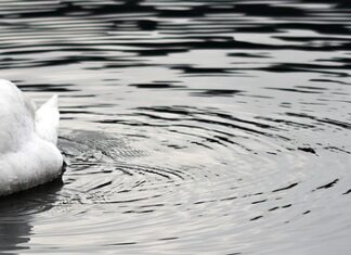 Dlaczego jestem dumny z pracy w mojej firmie? Dlaczego jestem dumny z pracy w mojej firmie?