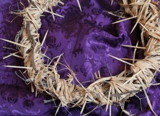 Ile jest czasu na zgłoszenie wypadku w szkole?