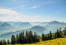 Od jakiej kwoty zadłużenia wchodzi komornik? Od jakiej kwoty zadłużenia wchodzi komornik?