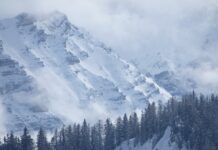 Co to jest przegląd zarządzania?