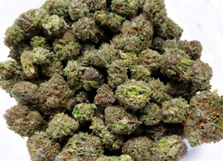 Czy przychodnia ma prawo odmówić przyjęcia pacjenta?