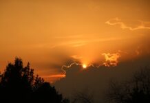 Jakie są metodyki zarządzania projektami?