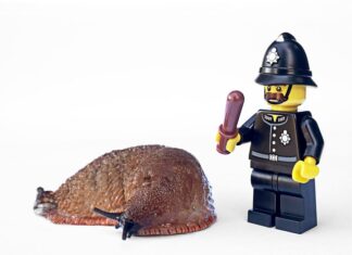 Jak egzekwować obowiązki od dziecka?