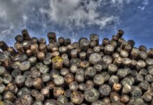 Jak ominąć logowanie do konta Google po resecie telefonu? Jak ominąć logowanie do konta Google po resecie telefonu?