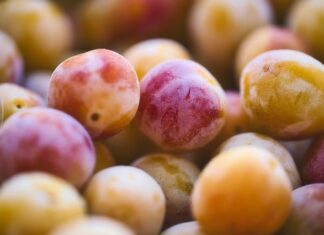 Co wlicza się w koszty utrzymania?