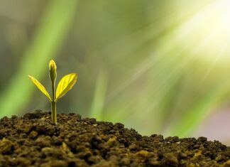 Na czym polega rozwój gospodarczy? Na czym polega rozwój gospodarczy?