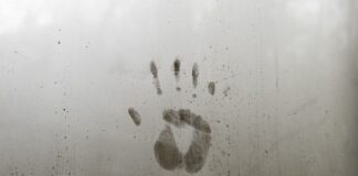 Co to znaczy identyfikacji?