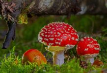 Jak poznać toksyczną osobę w pracy?